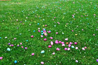 Easter Egg Hunt