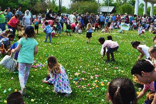 Easter Egg Hunt