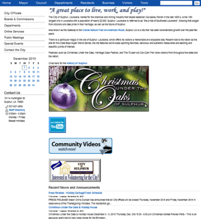 2010Website